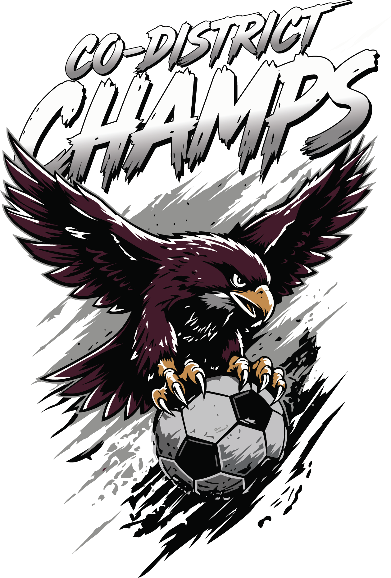 Co District Champs