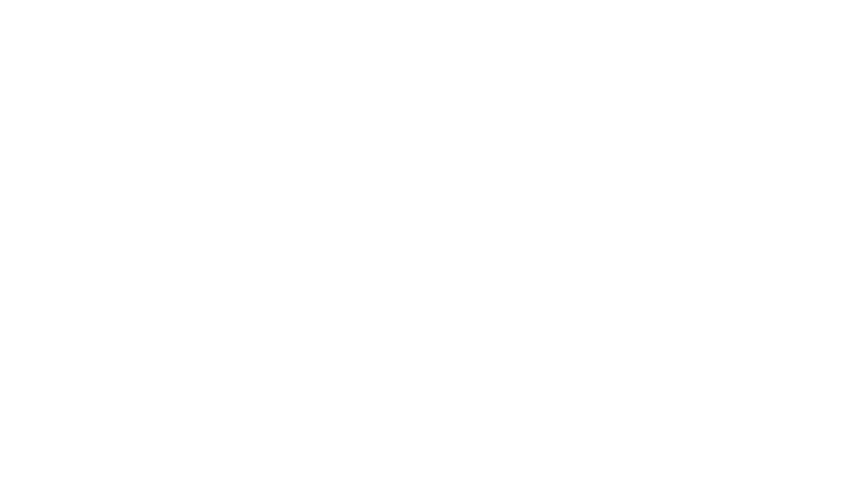 DESIGN PALS. dark logo